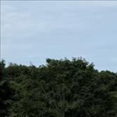 /images/pfpPhotos/MP0496_MP0496_74fa4edf-14db-44f7-bffe-6106d2f77001_17_crop_43288_crop.png