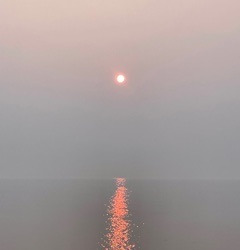 /images/pfpPhotos/uploads/AM0045/AM0045_IMG_9730_5_crop.jpg
