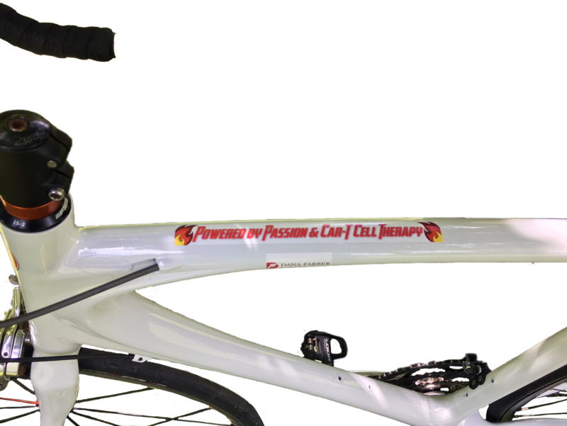 /images/pfpPhotos/uploads/DM0507/DM0507_Car_T1_41_crop.png