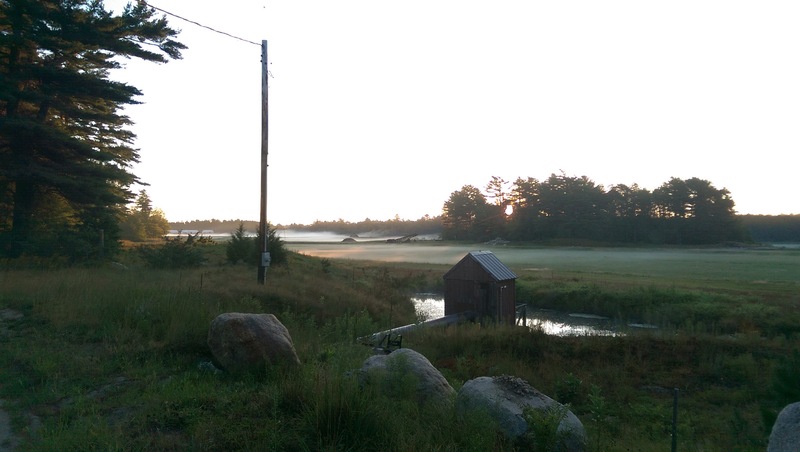 /images/pfpPhotos/uploads/EB0063/EB0063_2015PMCMorningMist_128_crop.jpg