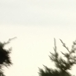 /images/pfpPhotos/uploads/EW0051/EW0051_IMG_20160806_061802941_24_crop.jpg