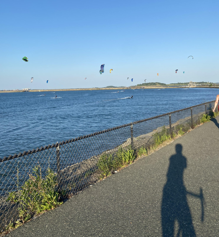 /images/pfpPhotos/uploads/IC0029/IC0029_pmcwind_3_crop.jpg
