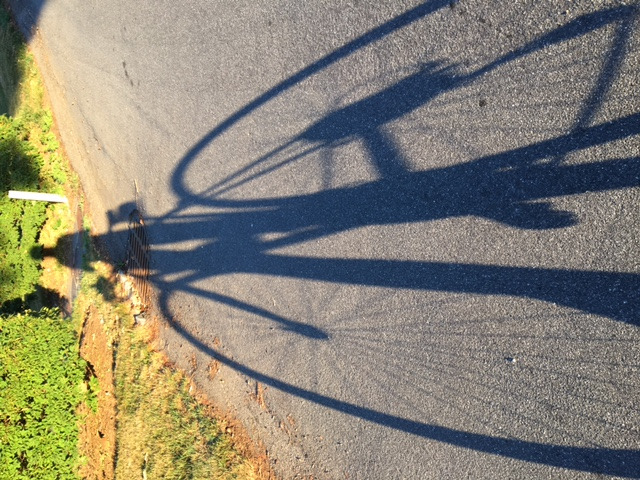 /images/pfpPhotos/uploads/JD0284/JD0284_BikeShadow_7_crop.jpg