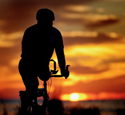 /images/pfpPhotos/uploads/JR0146/JR0146_JBR-5_11_crop.jpg