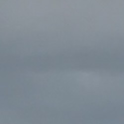 /images/pfpPhotos/uploads/LM0359/LM0359_IMG_0388(1)_25_crop.jpg