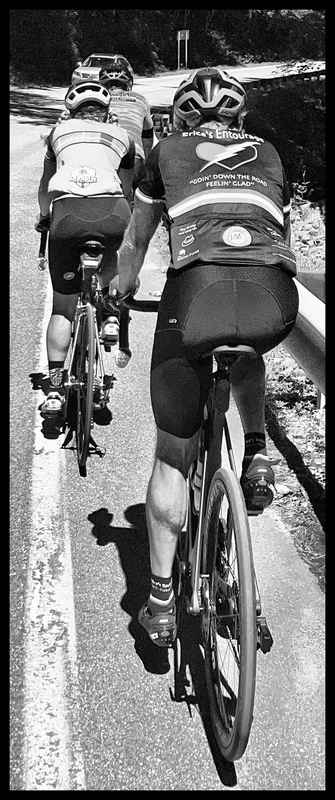 /images/pfpPhotos/uploads/MB0716/MB0716_22bandwpedals_71_crop.jpeg