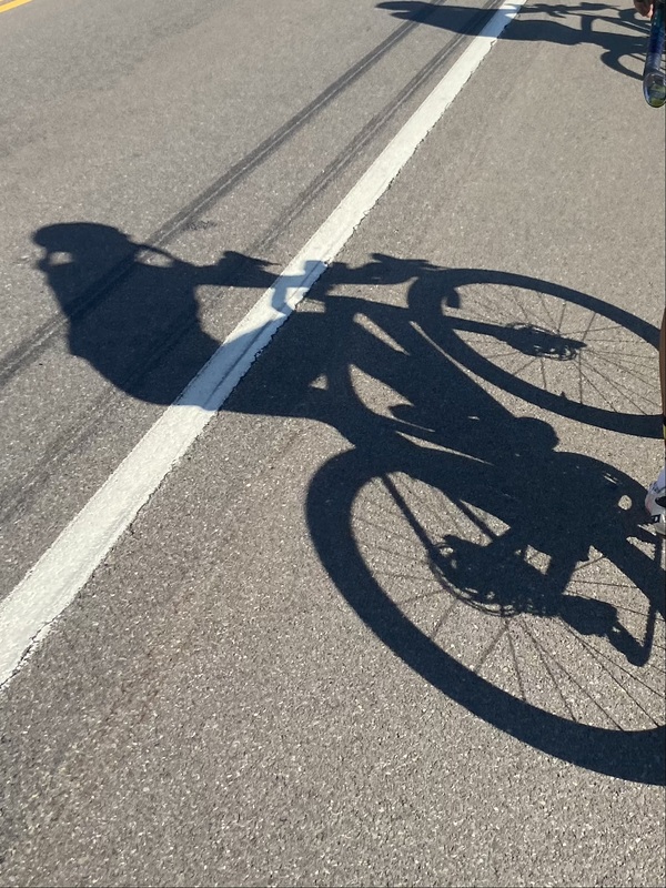 /images/pfpPhotos/uploads/MB0716/MB0716_22shadow_83_crop.jpeg