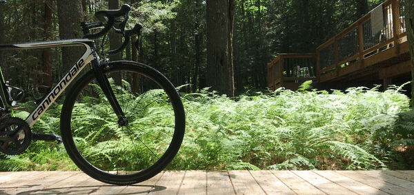 /images/pfpPhotos/uploads/MR0296/MR0296_PMC_9_crop.gif
