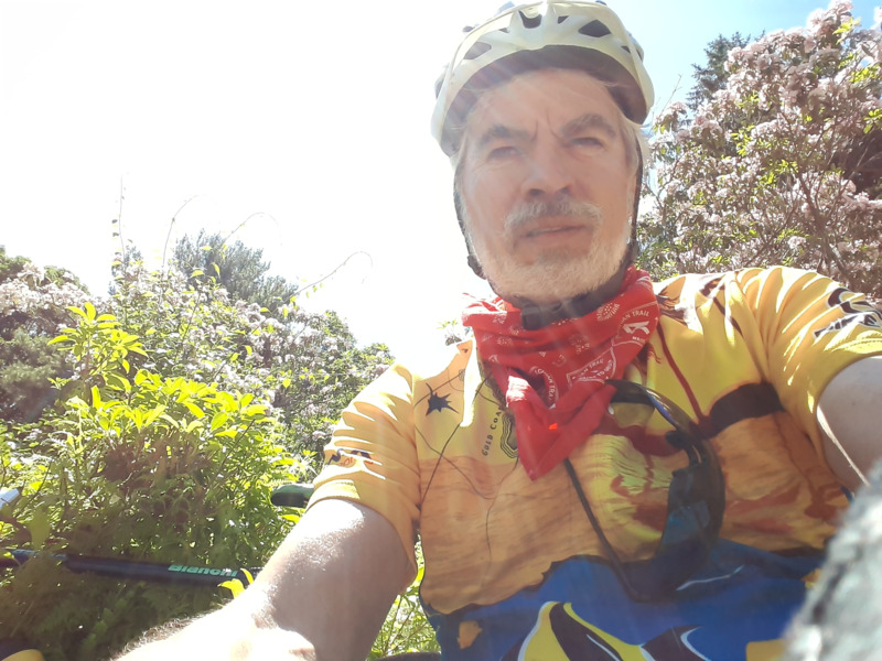 /images/pfpPhotos/uploads/MS0777/MS0777_MTLaurelphoto1_3_crop.jpg