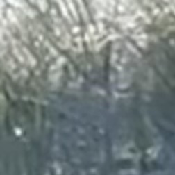 /images/pfpPhotos/uploads/SS0548/SS0548_3B215E28-D11E-46DA-98CE-E0BF10DCA965_3_crop.jpeg