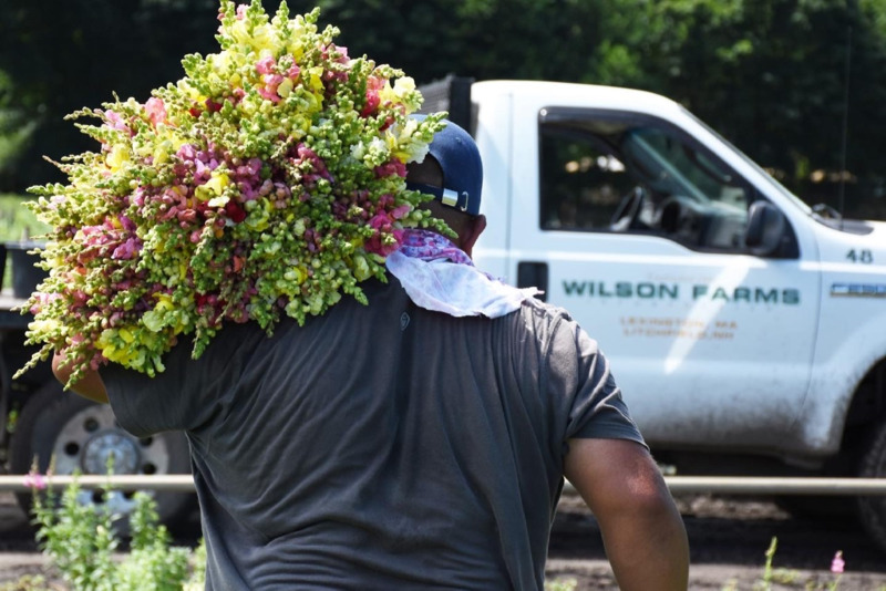 /images/pfpPhotos/uploads/SW0145/SW0145_thumbnail_6F9D1E8A-5EEB-4C89-A717-1D238132D1B5_46_crop.jpg