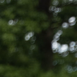 /images/pfpPhotos/uploads/WK0053/WK0053_Phil-Bill(4)_1_crop.jpg