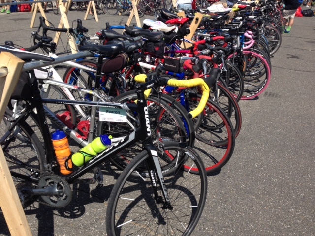 /images/pfpphotos/uploads/JF0309/JF0309.Gall.BikeRack.jpg