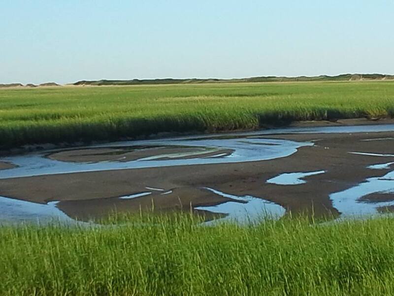 /images/pfpphotos/uploads/KA0017/KA0017.Gall.moors.jpg