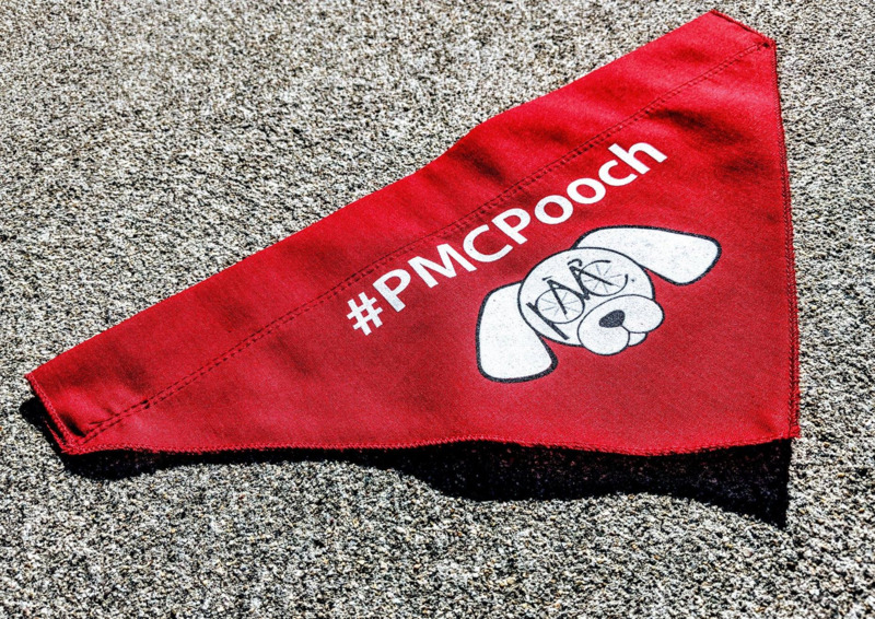 /pfpPhotos/uploads/AA0135/AA0135_PMC_Pooch_photo_2022_25_crop.jpg