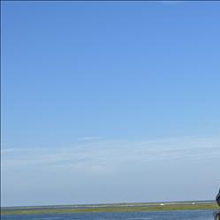 /pfpPhotos/uploads/AW0338/AW0338_IMG_0445_5_crop.jpeg