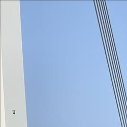 /pfpPhotos/uploads/BT0169/BT0169_IMG_2104_1_crop.jpeg