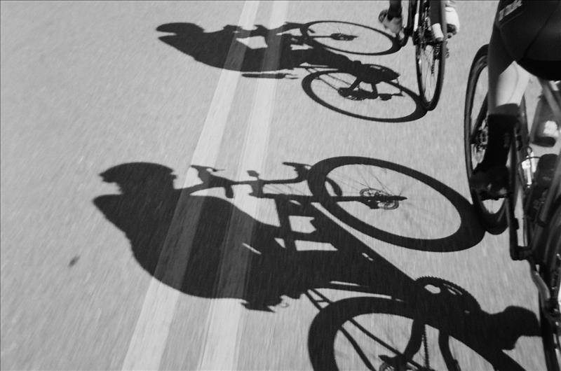 /pfpPhotos/uploads/CC0534/CC0534_000320310014copy_35_crop.jpg