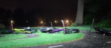 /pfpPhotos/uploads/CH0301/CH0301_PeaceGardenbikes_23_crop.jpg