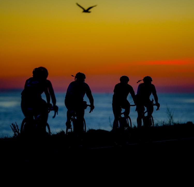 /pfpPhotos/uploads/DC0366/DC0366_075_PMC15_Highlights_31_crop.jpg