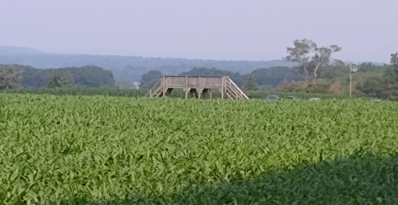 /pfpPhotos/uploads/DM0366/DM0366_IMG_20210726_103848373_19_crop.jpg