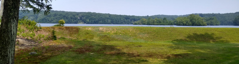 /pfpPhotos/uploads/DM0366/DM0366_IMG_20210726_112322926_HDR_11_crop.jpg