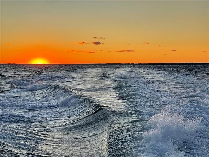 /pfpPhotos/uploads/DP0330/DP0330_thumbnail_IMG_3134_61_crop.jpg