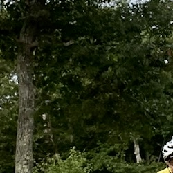/pfpPhotos/uploads/DS0508/DS0508_IMG_6701_1_crop.jpeg