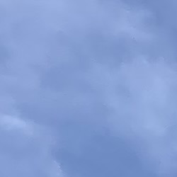 /pfpPhotos/uploads/HK0014/HK0014_IMG_8116_8_crop.jpeg