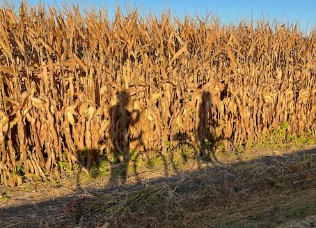 /pfpPhotos/uploads/JY0073/JY0073_IMG_3589_7_crop.jpeg