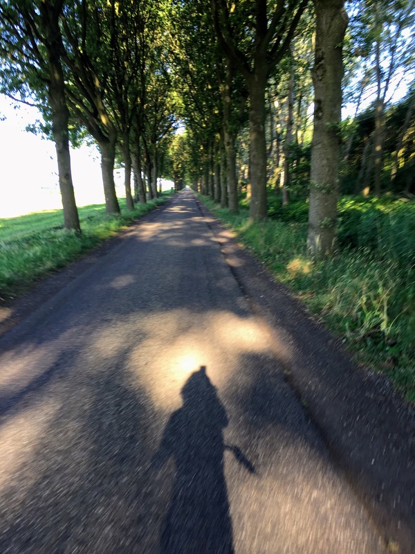 /pfpPhotos/uploads/LA0015/LA0015_dutch_31_crop.jpg