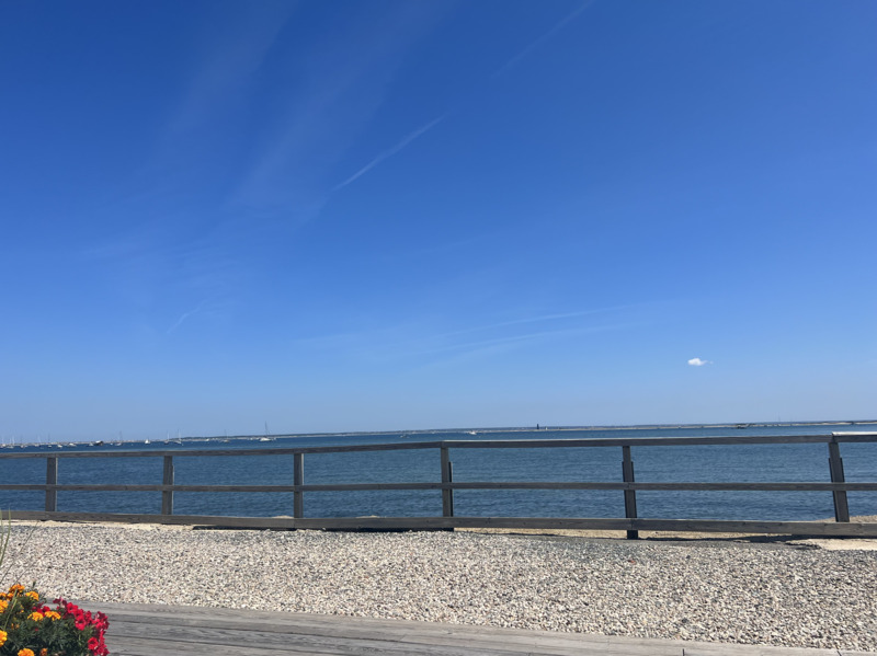 /pfpPhotos/uploads/MH0409/MH0409_IMG_6591_3_crop.jpeg