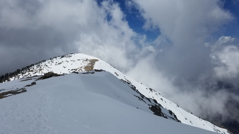 /pfpPhotos/uploads/MM0552/MM0552_mtBaldyMay2019_15_crop.jpg
