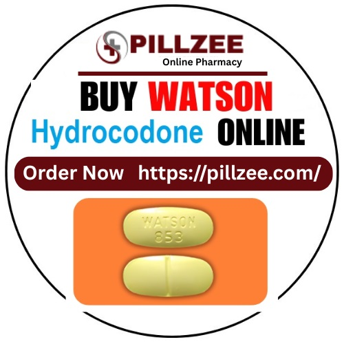 /pfpPhotos/uploads/OO0023/OO0023_Pillzee(Hydrocodone)_1_crop.jpg