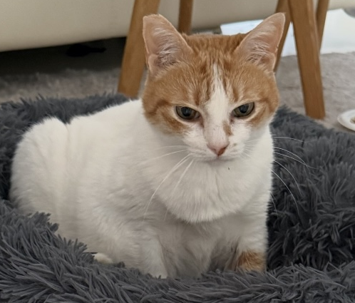 /pfpPhotos/uploads/PE0031/PE0031_Ginge!_21_crop.jpg