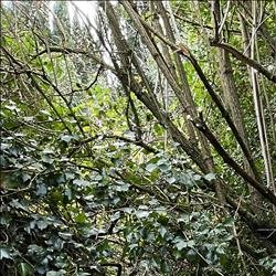 /pfpPhotos/uploads/SM0855/SM0855_IMG_2043_1_crop.jpeg