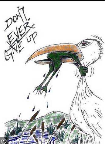 /pfpPhotos/uploads/VB0032/VB0032_don'tevergiveup_1_crop.png
